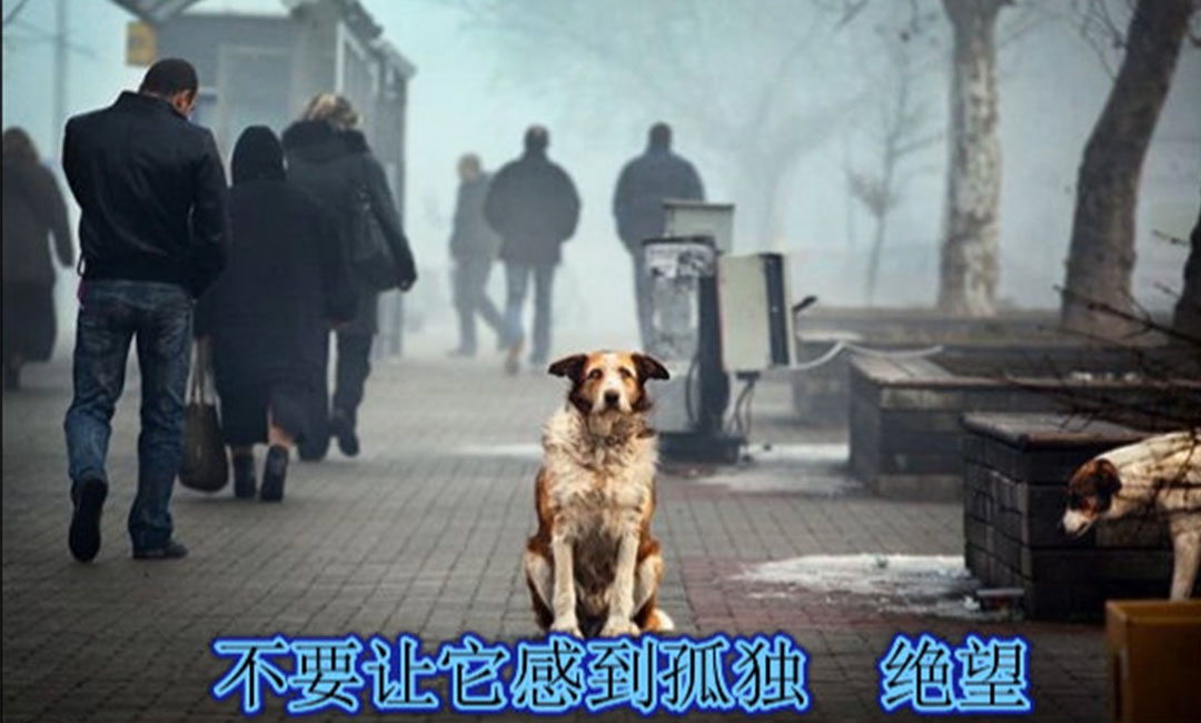 抚州抚州爱影圈微博微信转发案例